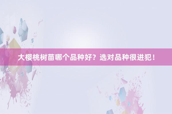 大樱桃树苗哪个品种好？选对品种很进犯！
