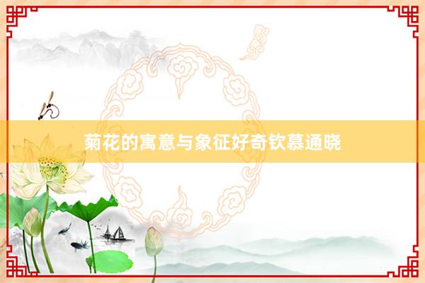 菊花的寓意与象征好奇钦慕通晓